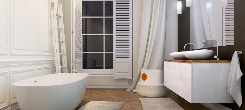 wc-chu-tuoi-giap-ty-1